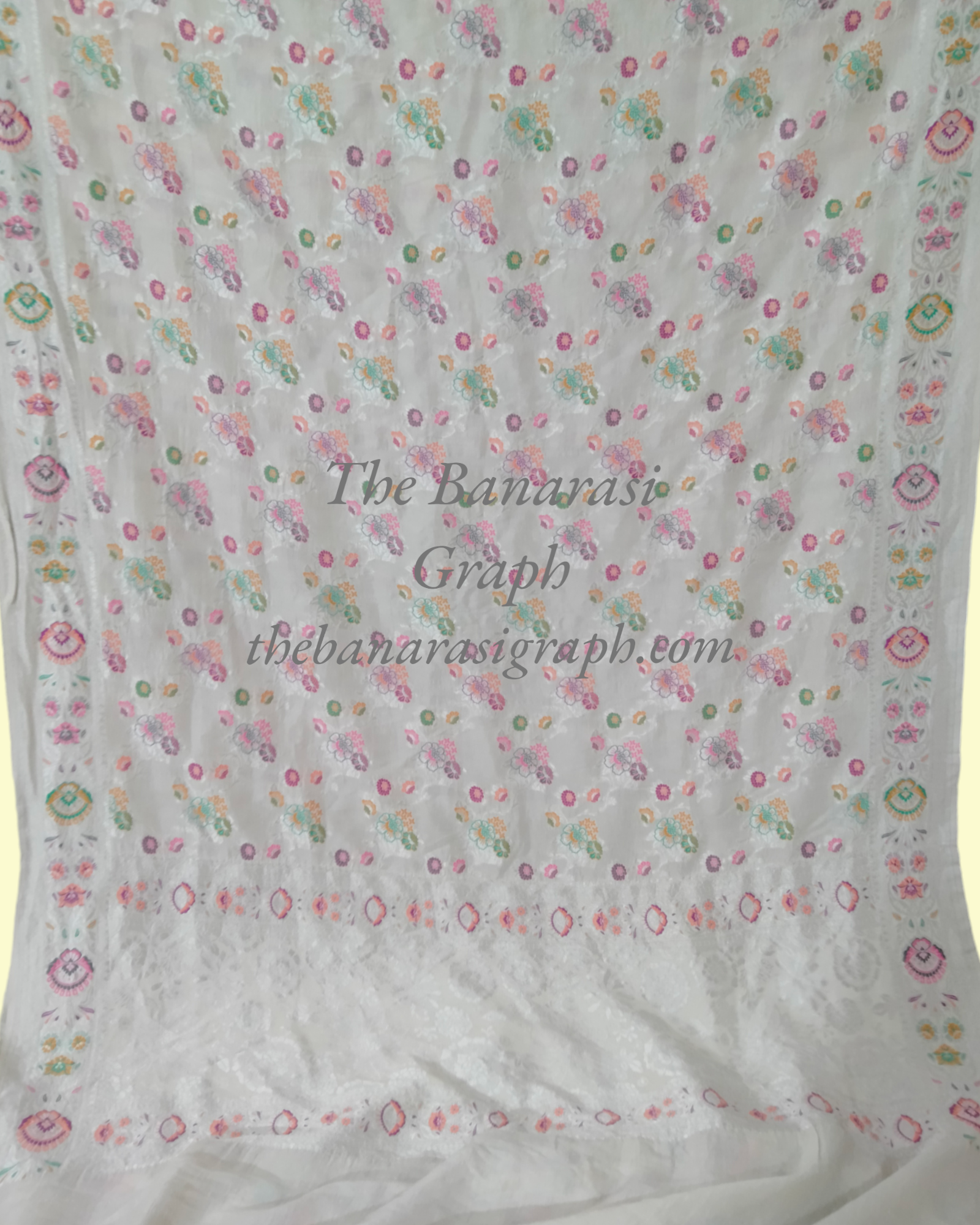 Pure Khaddi Tussar Georgette Handloom Silk Banarasi Saree  - All over Jaal Work with Meenakari