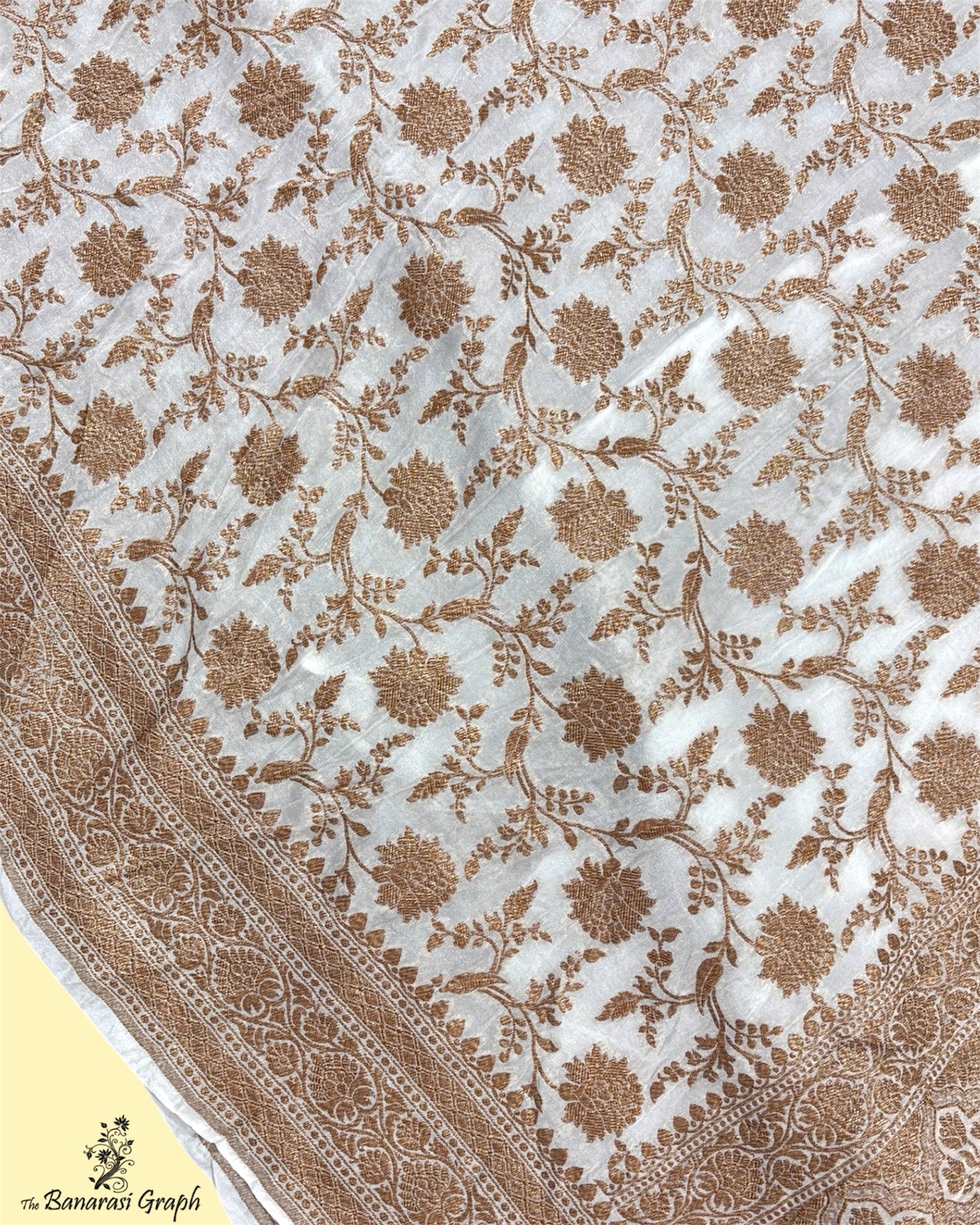 Pure Chiffon Georgette - Antique Zari All Over Jaal Work Banarasi Saree