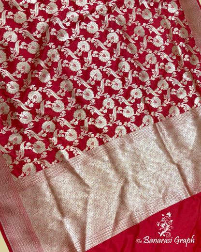 Red Pure Katan Uppada Handloom Silk - All Over Jaal Work Banarasi Saree