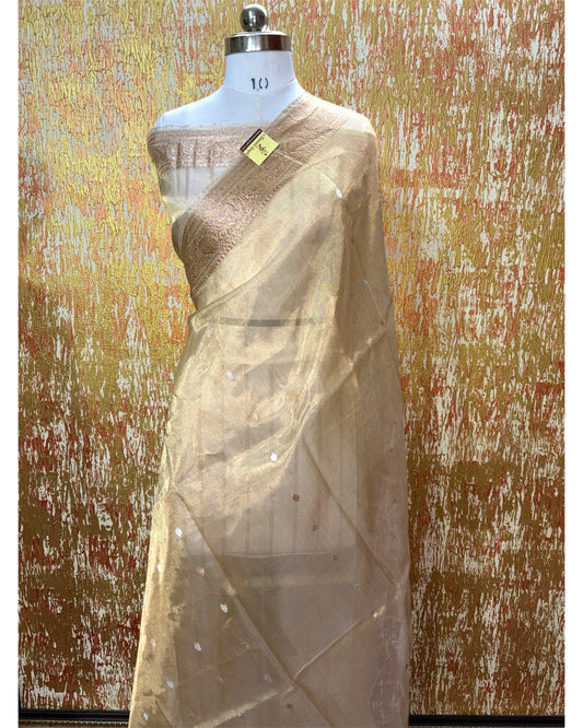 Pure Tissue Handloom Silk - Kadhua Motifs Banarasi Saree