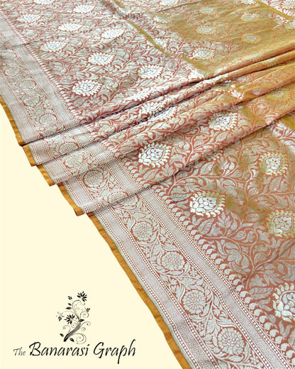 Pure Katan Handloom Silk - All Over Jaal Work with Meenakari Banarasi Saree