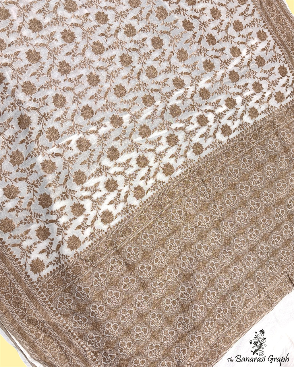Pure Chiffon Georgette - Antique Zari All Over Jaal Work Banarasi Saree