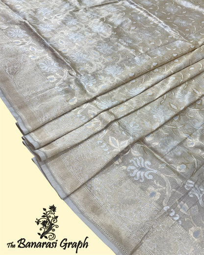 Pure Katan Handloom Silk - All Over Jaal Work With Meenakari Banarasi Saree