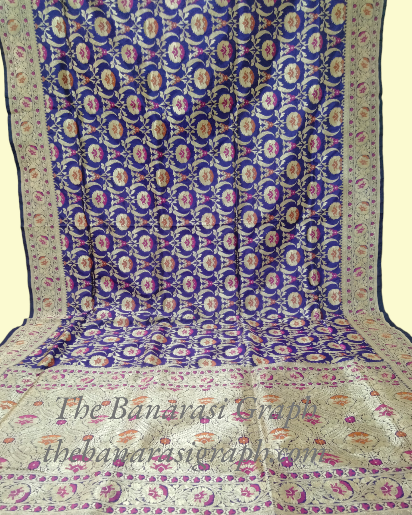 Pure Katan Handloom Silk Uppada - All over Jaal Work with Meenakari Banarasi Saree