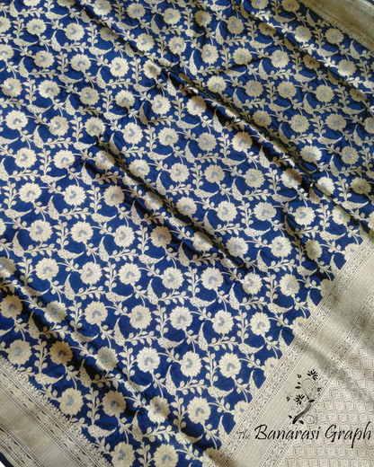 Blue Pure Katan Handloom Silk Uppada - All Over Jaal Work Banarasi Saree