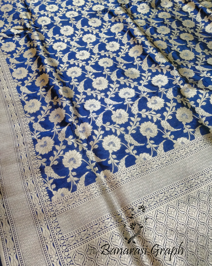 Blue Pure Katan Handloom Silk Uppada - All Over Jaal Work Banarasi Saree